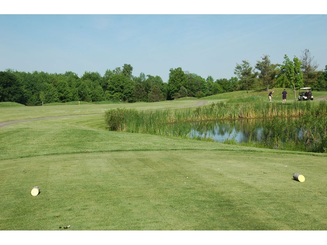 The Links at Whitmore Lake, Whitmore Lake, Michigan Golf course