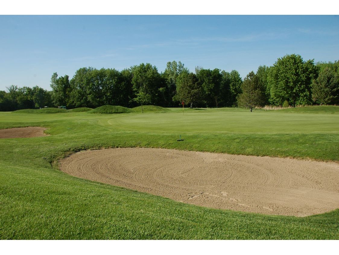 Course Gallery Whitmore Lake Golf Links