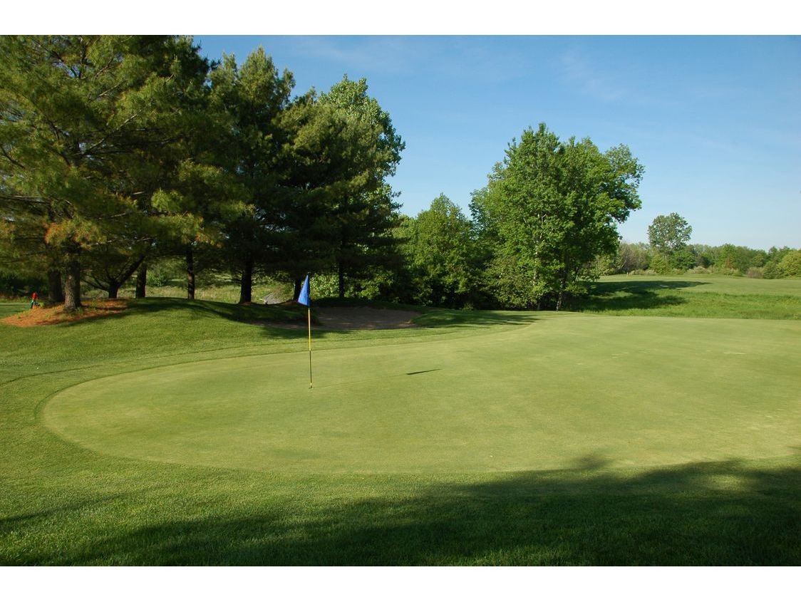 Course Gallery Whitmore Lake Golf Links