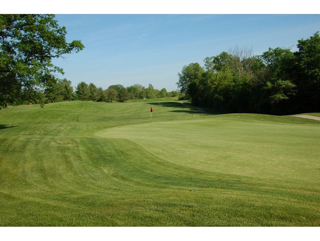 Course Gallery Whitmore Lake Golf Links